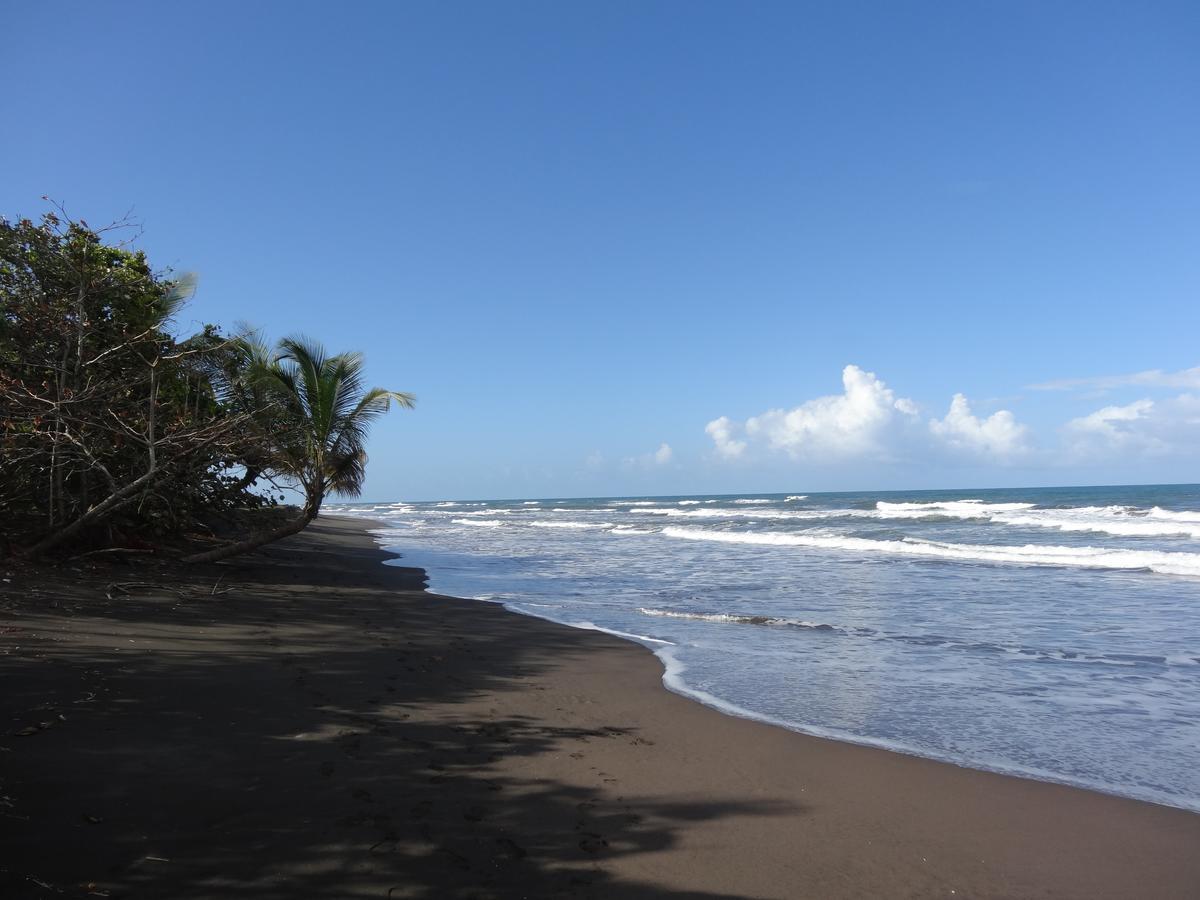 La Casona De Tortuguero Hotel Exterior foto