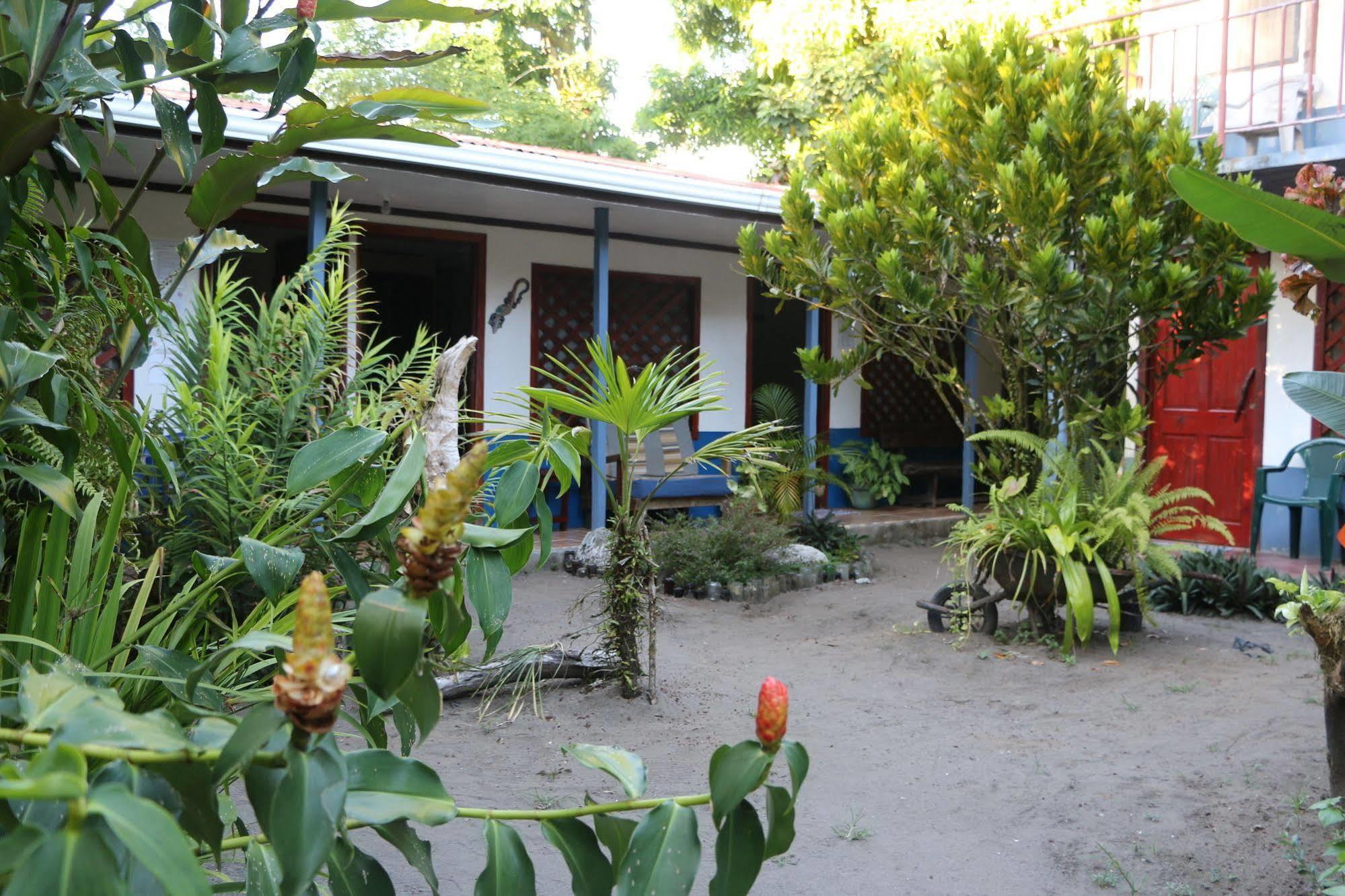 La Casona De Tortuguero Hotel Exterior foto